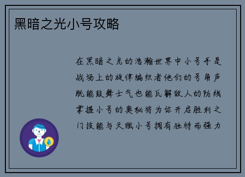 黑暗之光小号攻略
